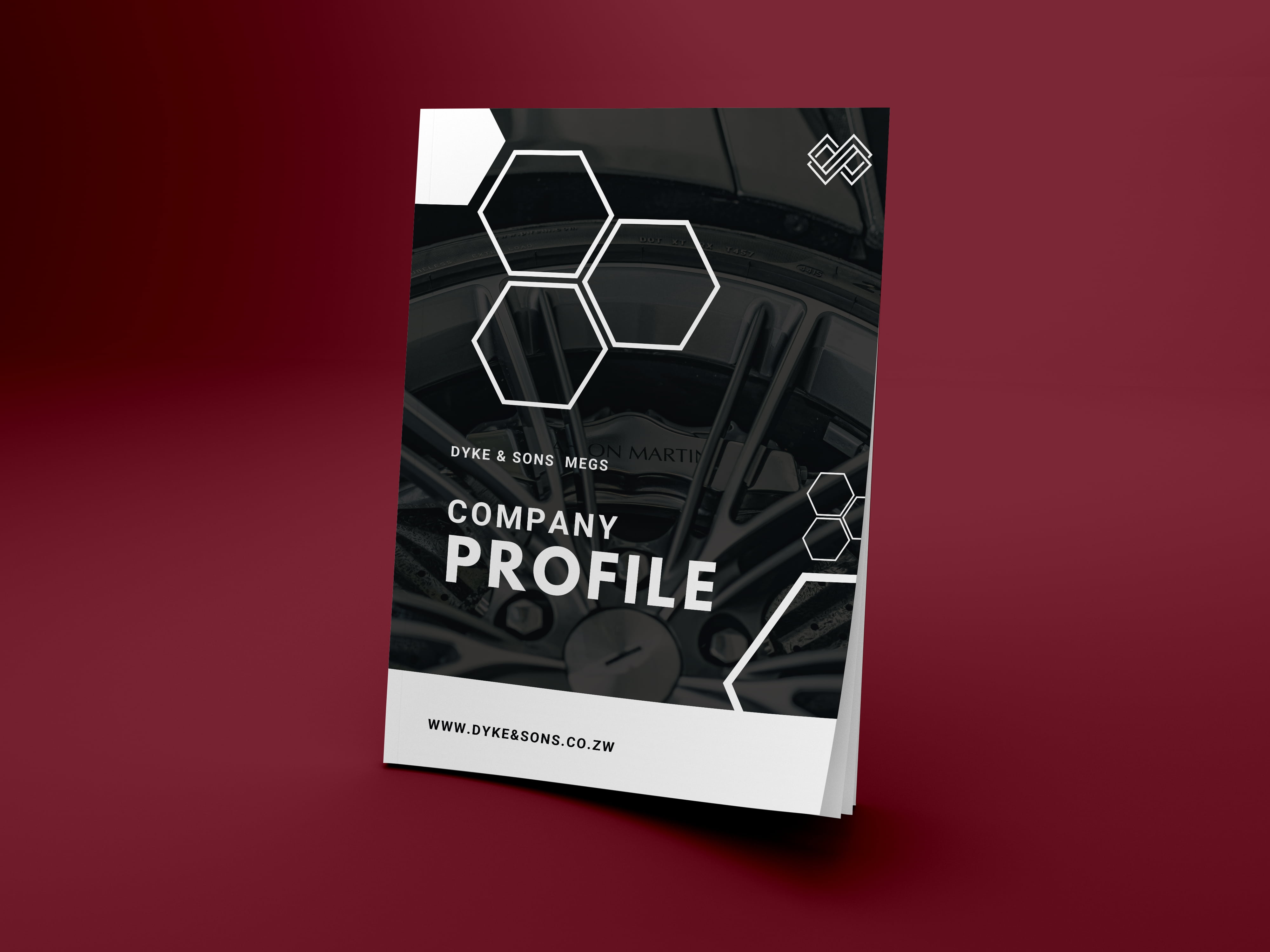 Company Startup Profile